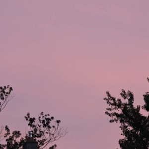 性感白丝袜美女姐姐拍三级片
