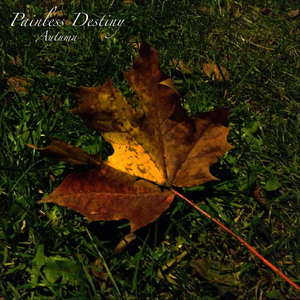 性感白丝袜美女姐姐拍三级片
